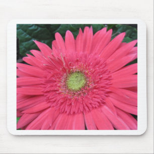 Mousepad Margarida do Gerbera