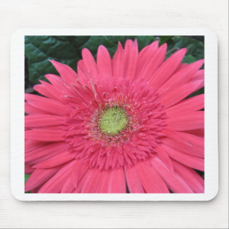 Mousepad Margarida do Gerbera