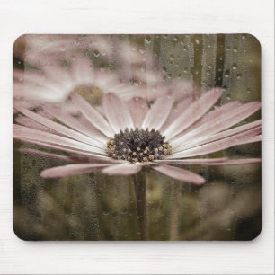 Mousepad margarida rosa com chuva na janela