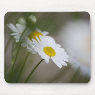 Mousepad Margaridas