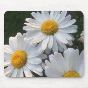 Mousepad Margaridas Brancas