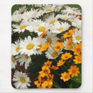 Mousepad Margaridas brancas e amarelas