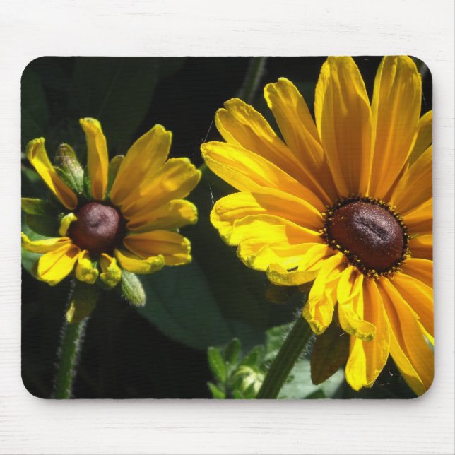 Mousepad Margaridas de Olho Preto (Frente)