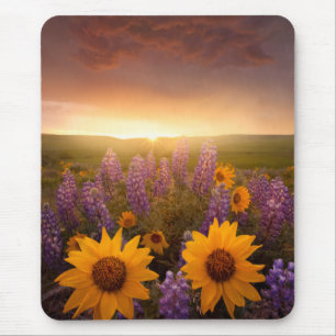 Mousepad Margaridas do por do sol