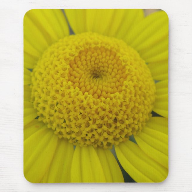 Mousepad Marguerite amarela bonito (Frente)