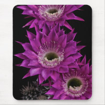 Maria Piazza à terceira