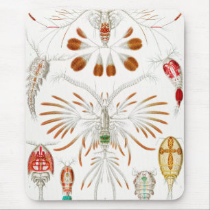 Mousepad Marine Life Crustaceans, Copepoda por Ernst Haecke