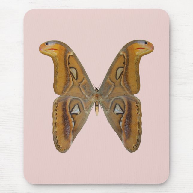 Mousepad Mariposa Atlas (Frente)