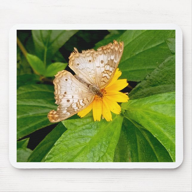 Mousepad mariposa branca-amarela (Frente)