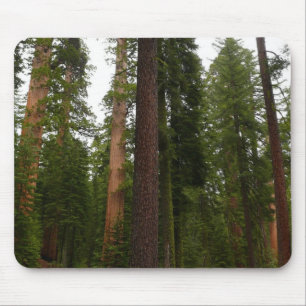 Mousepad Mariposa Grove no Parque Nacional de Yosemite