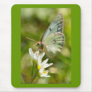 Mousepad Mariposa Verde em Falsa Alho Roupas e Presentes