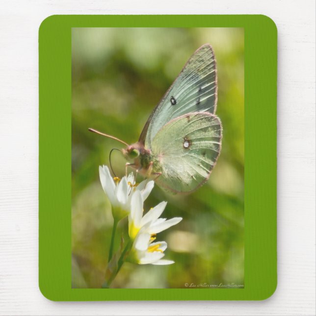 Mousepad Mariposa Verde em Falsa Alho Roupas e Presentes (Frente)