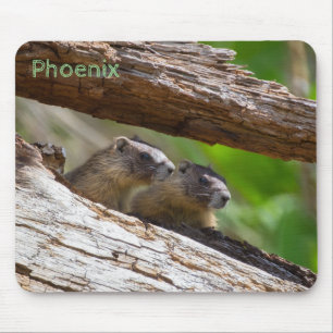 Mousepad Marmot Brothers