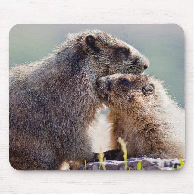 Mousepad Marmot Mãe com Bebê (Frente)