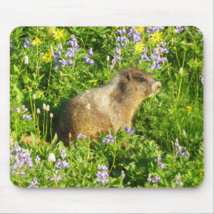 Mousepad Marmot no Monte Rainier Wildflower