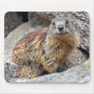 Mousepad Marmota alpina Mousemat