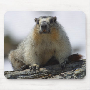 Mousepad Marmota inchada amarelo