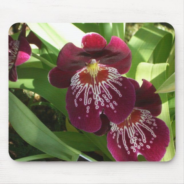 Mousepad Maroon Orchids II Elegante Floral (Frente)