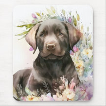 Marrom-aquarela Labrador Retriever e Flores