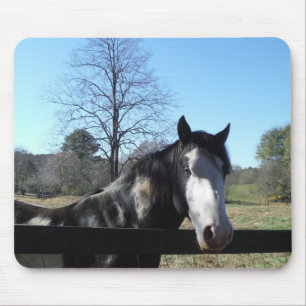 Mousepad Marrom &Branco, Cavalo Pintado, céu azul brilhante