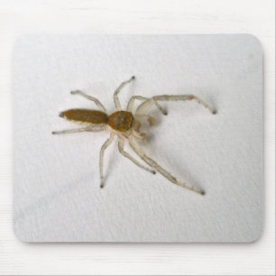 Mousepad Marrom masculino saltando itens correspondentes na