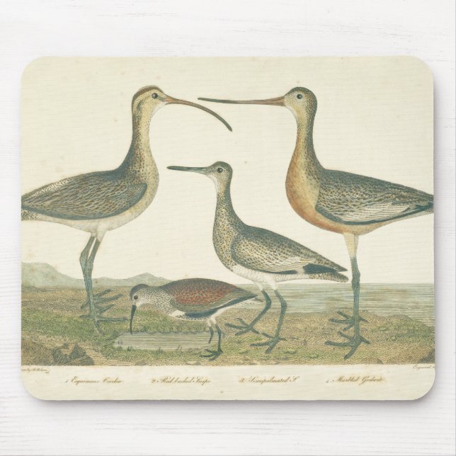 Mousepad Marsh Bird Curlew Snipe Birding (Frente)