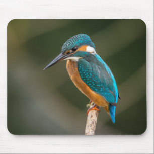 Mousepad Martinho pescatore