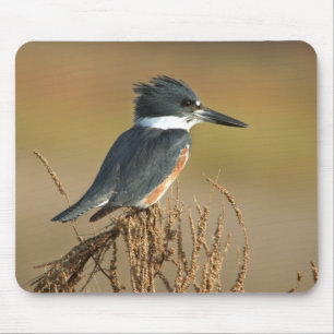 Mousepad Martinho pescatore cercado