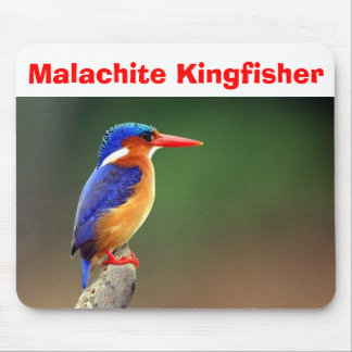 Mousepad Martinho pescatore da malaquite, martinho