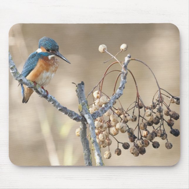 Mousepad Martinho pescatore na reserva de Hula (Frente)