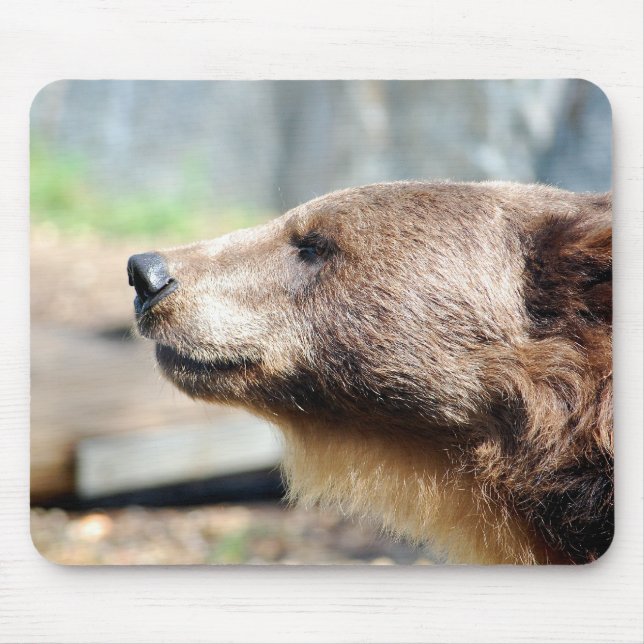 Mousepad Master Bruin (Frente)