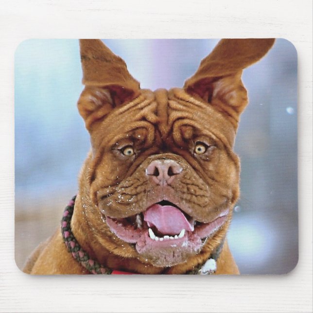 Mousepad Mastiff Plus (Frente)