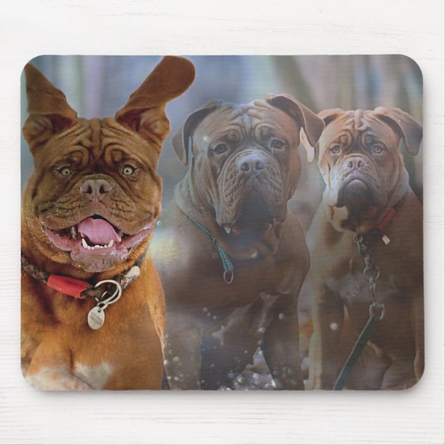 Mousepad Mastiff Plus (Frente)