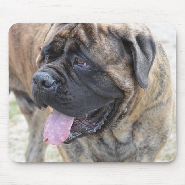 Mousepad Mastiff rajado (Frente)