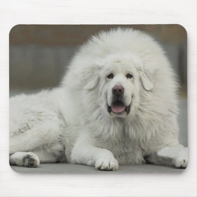 Mousepad Mastiff tibetano branco legal (Frente)