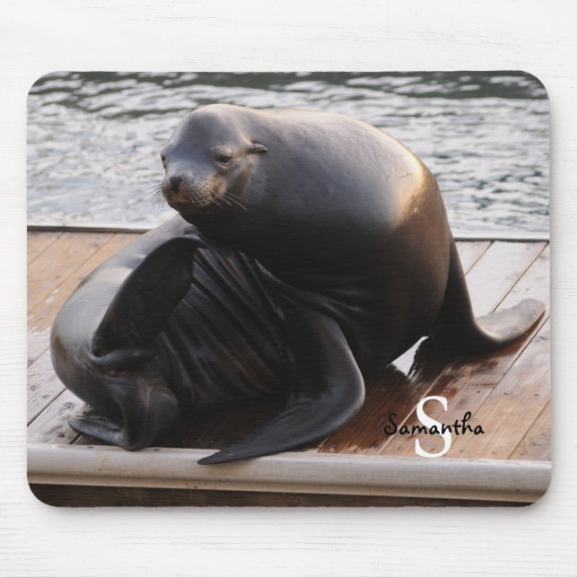 Mousepad Mat de rato de Leão (Frente)