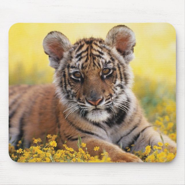 Mousepad Mat do mouse com Cub de Tigre (Frente)