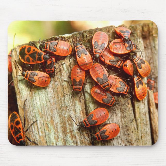 Mousepad Mat do mouse Firebugs (Frente)