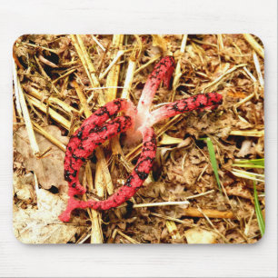 Mousepad Mat do mouse Octopus Stinkhorn