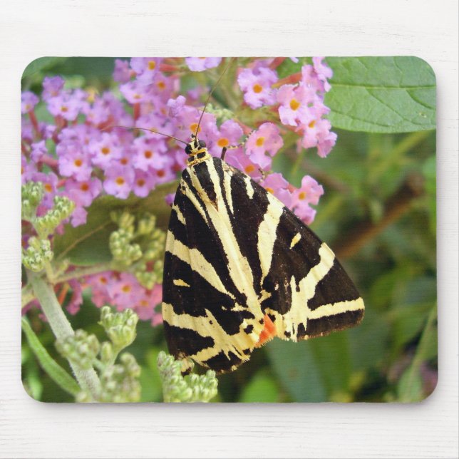 Mousepad Mat do Rato Butterfly em Jersey Tiger (Frente)