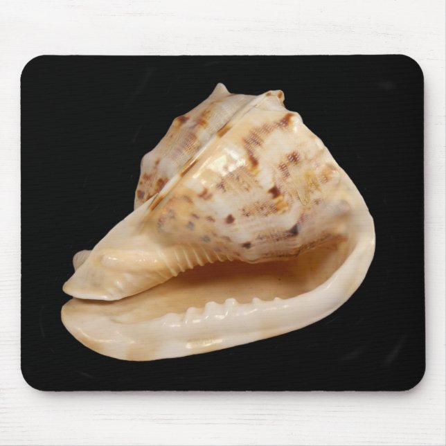Mousepad Mat do rato da Concha (Frente)