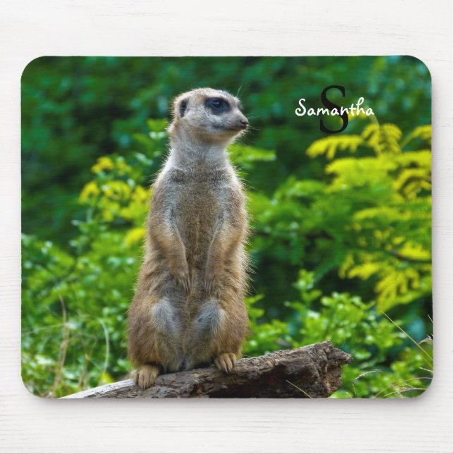 Mousepad Mat do rato Meerkat (Frente)