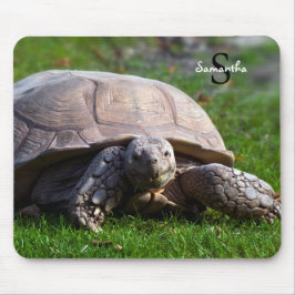 Mousepad Mat do rato Tortoise