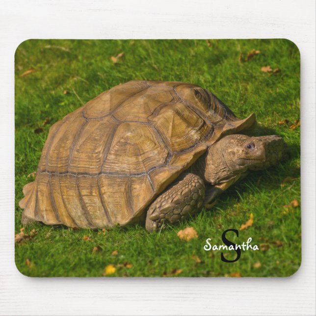 Mousepad Mat do rato Tortoise (Frente)