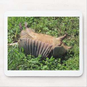 Mousepad Matar de estrada do tatu - Dasypodidae