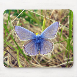 Mousepad Matéria comum do rato de borboleta azul