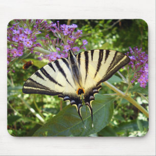 Mousepad Matéria-prima do rato de borboleta-borboleta