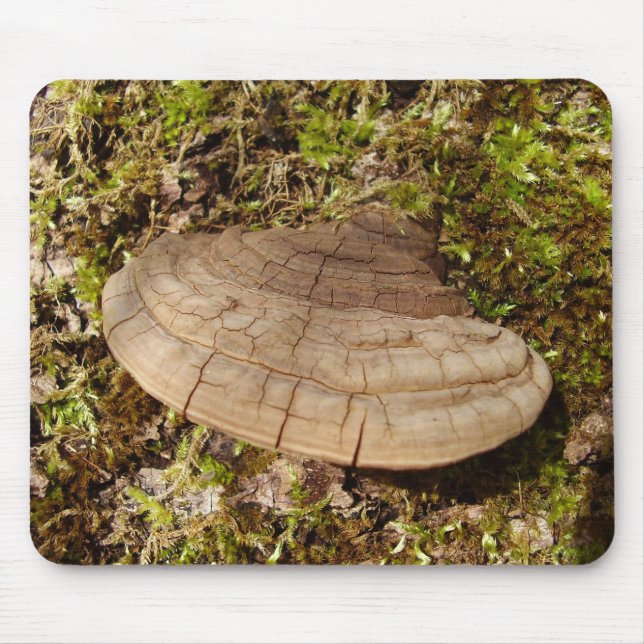Mousepad Mato de Mouse de Cogumelos Phellinus igniarius (Frente)