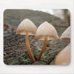 Mousepad Mato de Mouse Mouse Mycena inclinata