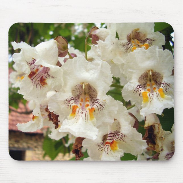 Mousepad Mato de Rato das Flores de Bean Indianas (Frente)